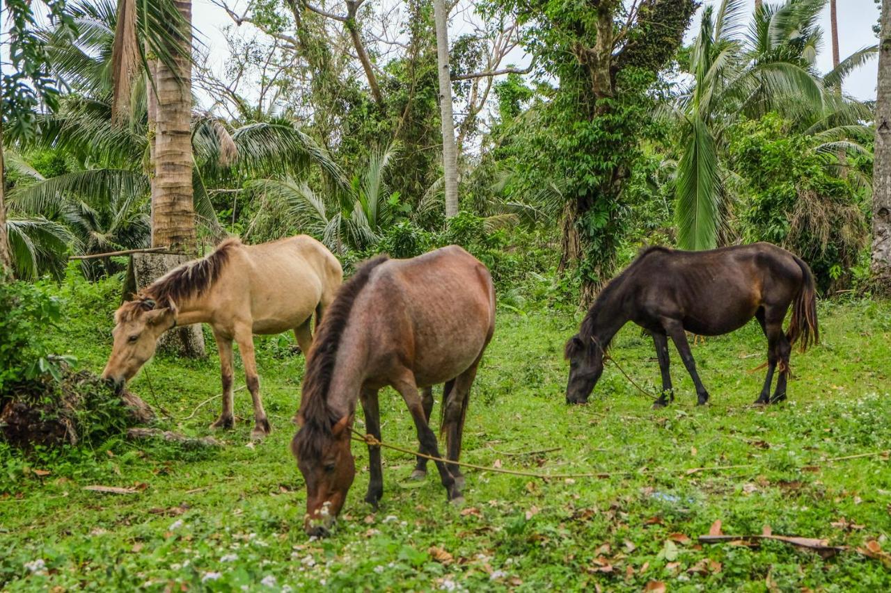 Recidencia Del Hamor Sorsogon Exterior foto