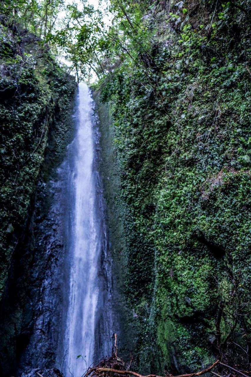 Recidencia Del Hamor Sorsogon Exterior foto